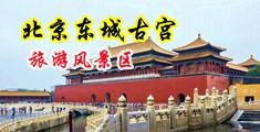 帅哥舔美女的逼网站中国北京-东城古宫旅游风景区